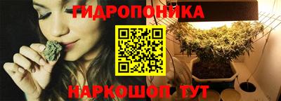 индика Владивосток
