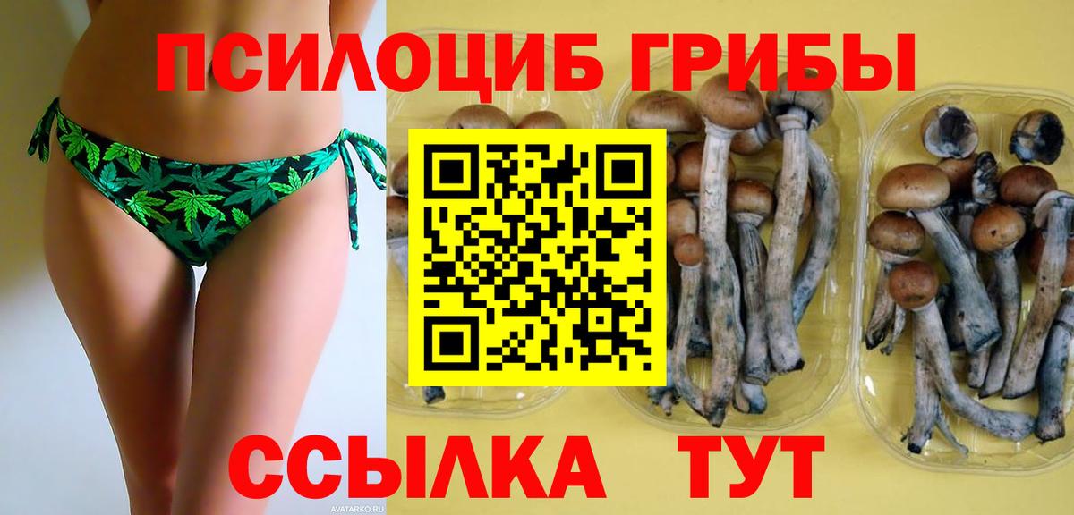 Псилоцибиновые грибы мицелий Белгород